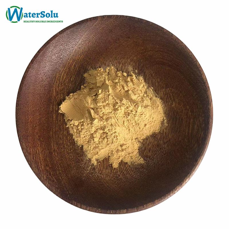 Astragalus Extract Powder